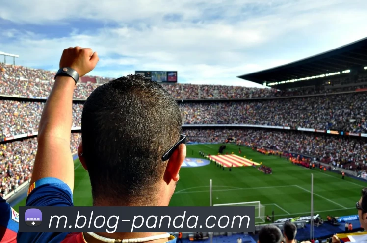 熊猫体育平台生态图