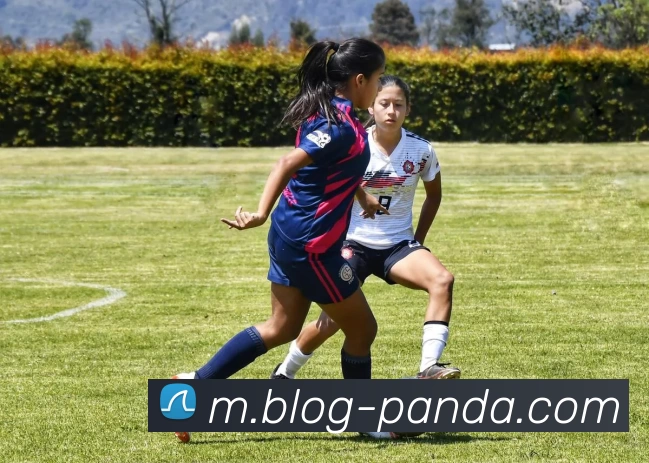 熊猫体育全站App