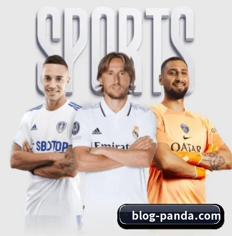 熊猫体育的方向（PandaSports）